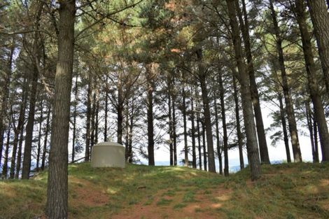 Photo of property in 101 Emma Drive, Manakau, 5573