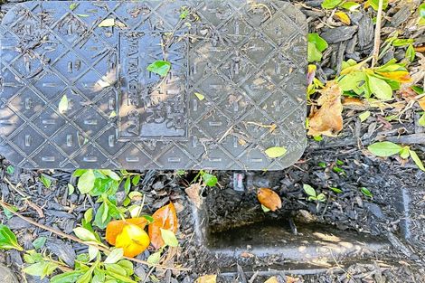 Photo of property in 60 Hewlett Road, Massey, Auckland, 0614