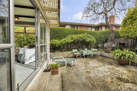 Photo of property in 2a Bruce Street, Roslyn, Dunedin, 9011