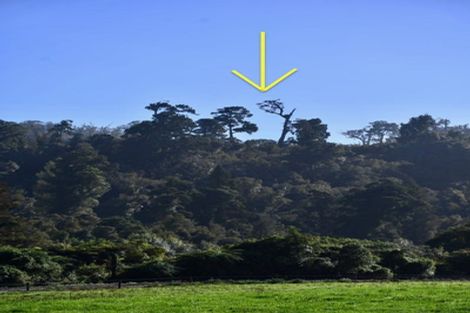 Photo of property in 64 Eco Place, Little Wanganui, Karamea, 7893