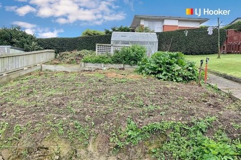 Photo of property in 25 Agnes Street, Kenmure, Dunedin, 9011