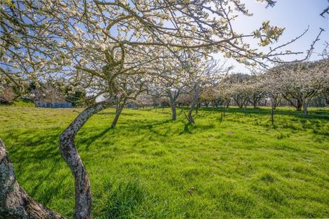Photo of property in 146 Wairoa Gorge Road, Brightwater, 7091
