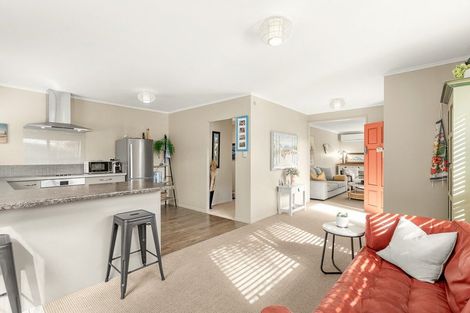 Photo of property in 61 Campbell Road, Mount Maunganui, 3116
