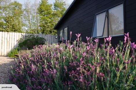 Photo of property in 50 Pond Road, Raglan, 3295