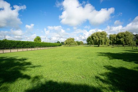 Photo of property in 1/31 Forrest Road, Cambridge, 3493