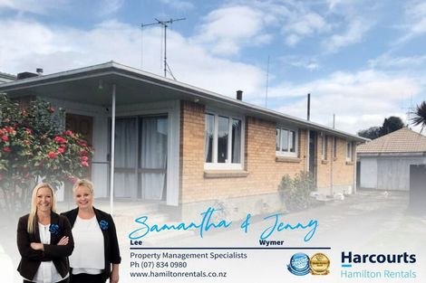Photo of property in 53 Cook Street, Hamilton East, Hamilton, 3216