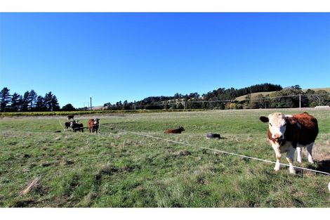 Photo of property in 1972 State Highway 63, Wairau Valley, Blenheim, 7271