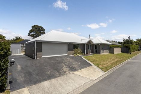 Photo of property in 4 Mcallister Place, Renwick, 7204