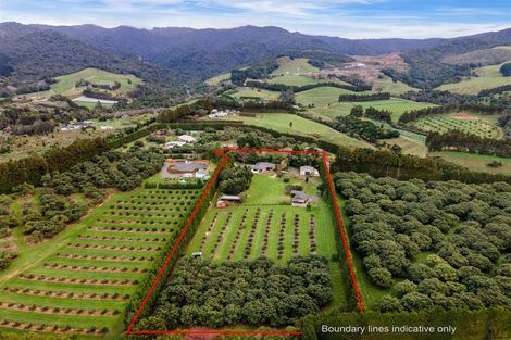 Photo of property in 360c Wharawhara Road, Tahawai, Katikati, 3178