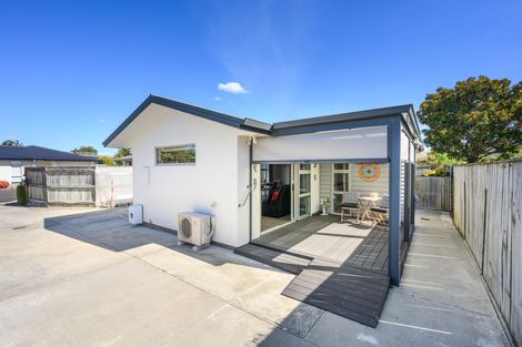 Photo of property in 65b Albert Street, Palmerston North, 4414