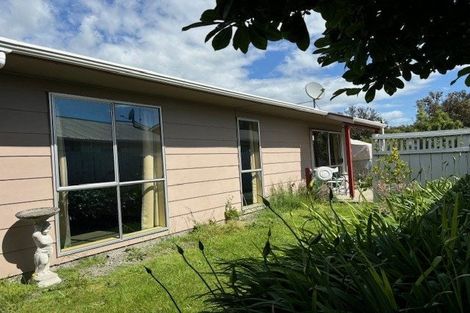 Photo of property in 4 Beatty Street, Levin, 5510
