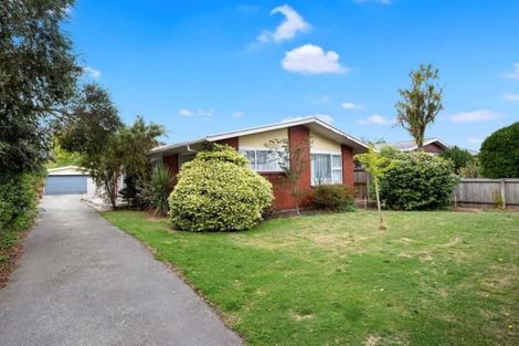 Photo of property in 330 Cranford Street, St Albans, Christchurch, 8052