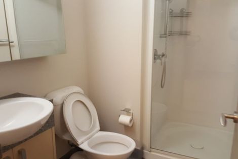Photo of property in Dual Apartments, 210/142 Vivian Street, Te Aro, Wellington, 6011