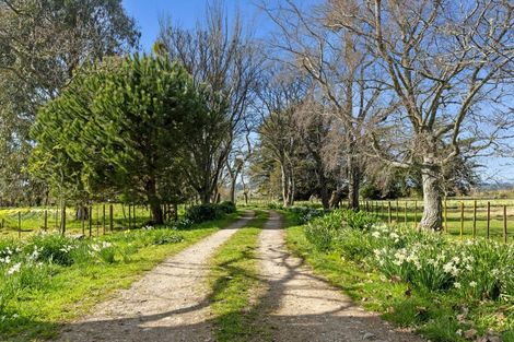 Photo of property in 66 Central Road, Lower Moutere, Upper Moutere, 7175