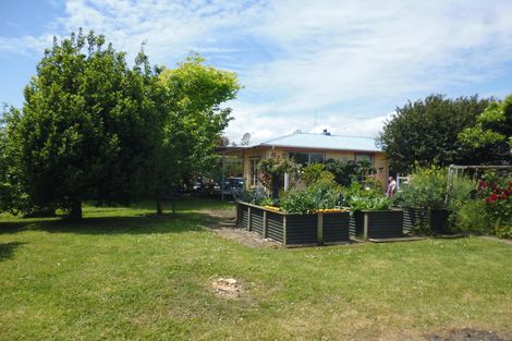 Photo of property in 47 Goring Street, Opotiki, 3122
