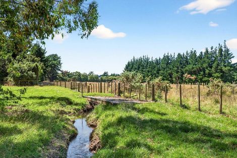 Photo of property in 869 Norfolk Road, Upper Plain, Carterton, 5791