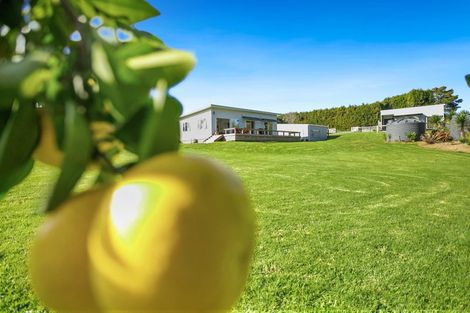 Photo of property in 76 Riddell Road, Kerikeri, 0230