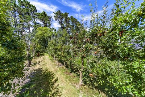 Photo of property in 641 Blackhead Road, Wallingford, Waipukurau, 4284