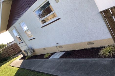 Photo of property in 28b Churchill Avenue, Richmond, 7020