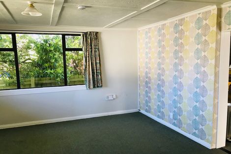 Photo of property in 35 Mitchell Avenue, Maryhill, Dunedin, 9011