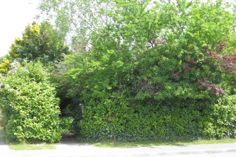 Photo of property in 245 King Street, Rangiora, 7400