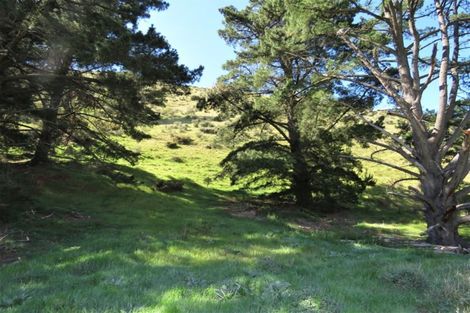 Photo of property in 596 Hurunui Bluff Road, Hurunui, Hawarden, 7385