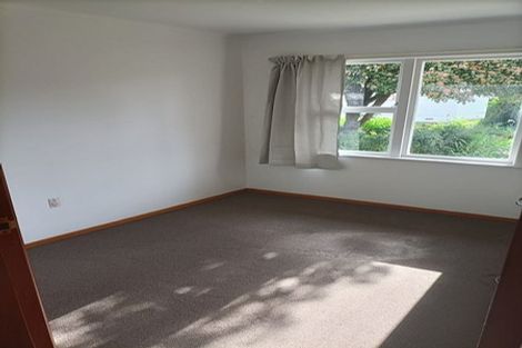 Photo of property in 19 Steele Road, Forest Lake, Hamilton, 3200