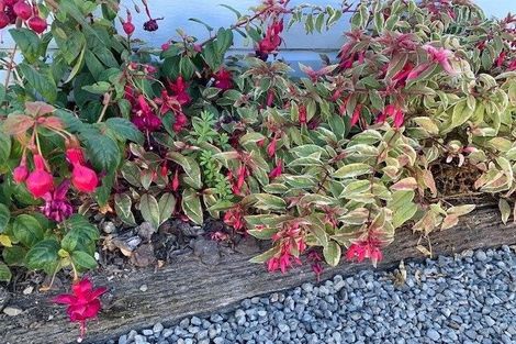 Photo of property in 802 Outram Road, Akina, Hastings, 4122