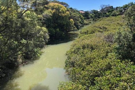 Photo of property in 25 Caspian Close, New Lynn, Auckland, 0600