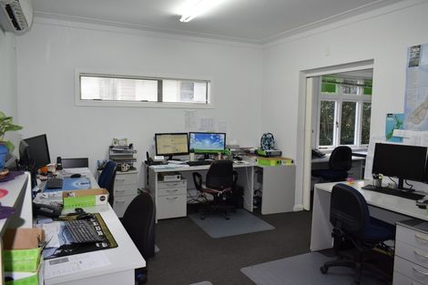 Photo of property in 57 Omahu Road, Greenlane, Auckland, 1051