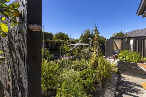 Photo of property in 14 Tavera Street, Blenheim, 7201