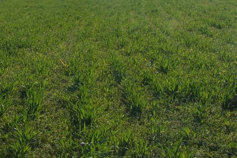 Photo of property in 496 Rangiora Leithfield Road, Sefton, Rangiora, 7477