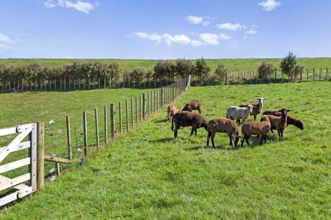 Photo of property in 104 Te Papatapu Road, Raglan, 3296
