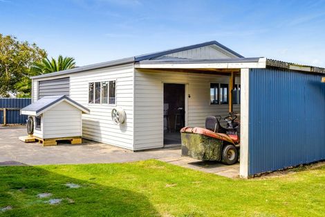 Photo of property in 53 Denmark Terrace, Midhirst, Stratford, 4394