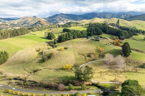 Photo of property in 91 Falloon Settlement Road, Kaituna, Masterton, 5888