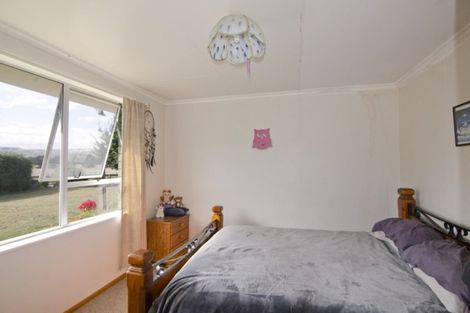 Photo of property in 51 Duncan Road, Ettrick, Roxburgh, 9572