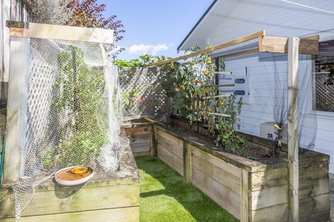 Photo of property in 107 Meddings Crescent, Te Awamutu, 3800