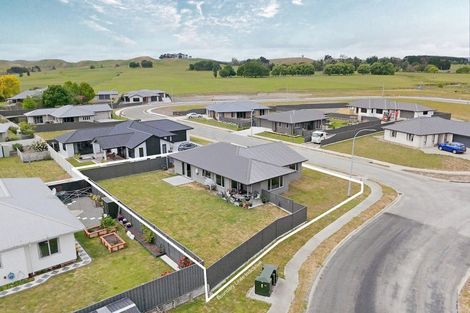 Photo of property in 33 Belgrove Drive, Waipukurau, 4200