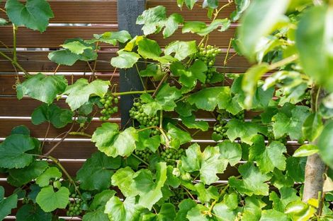 Photo of property in 19 Lewis Street, Gladstone, Invercargill, 9810