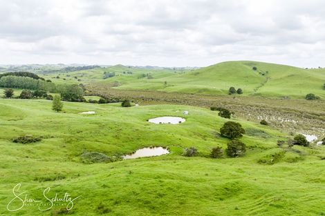 Photo of property in 215c Heatley Road, Whakapirau, 0583