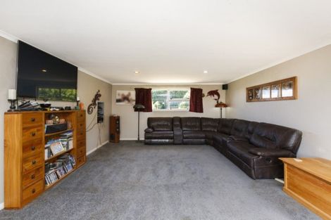 Photo of property in 281 Hoihere Road, Tiakitahuna, Palmerston North, 4477