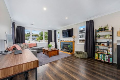 Photo of property in 33 Camden Street, Feilding, 4702