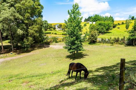 Photo of property in 307 Whananaki North Road, Opuawhanga, Hikurangi, 0181