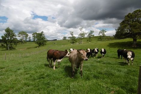 Photo of property in 170 Pigs Head Road, Whakapara, Hikurangi, 0184