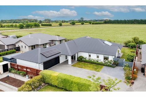 Photo of property in 19 Walnut Way, Rangiora, 7400