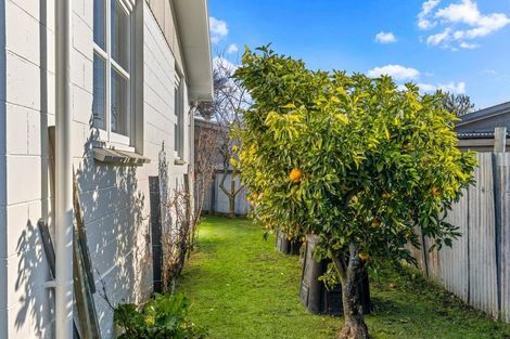 Photo of property in 13 Karina Crescent, Redwoodtown, Blenheim, 7201