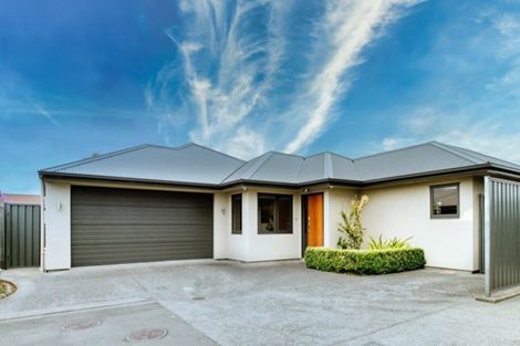 Photo of property in 48c Te Aute Road, Havelock North, 4130