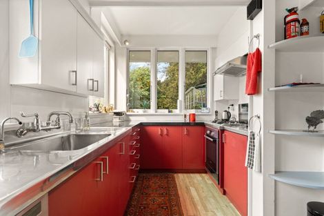 Photo of property in 17 Littlebourne Road, Roslyn, Dunedin, 9010