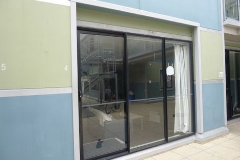 Photo of property in 4/3 King Street, Mount Cook, Wellington, 6021