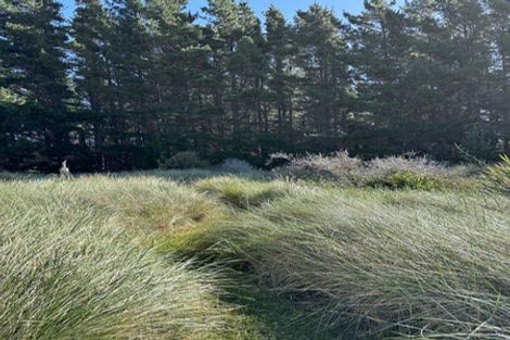 Photo of property in 17 Nunu Drive, Flat Point, Masterton, 5883